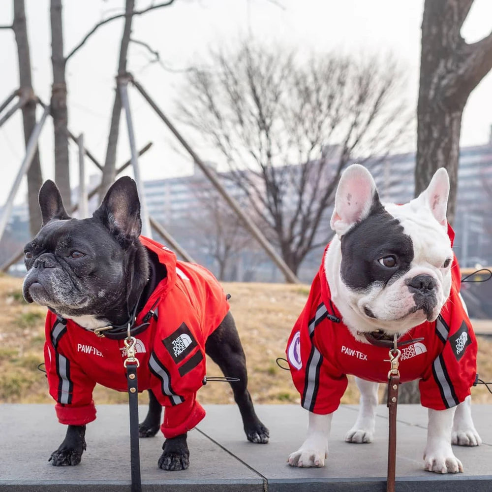 American Flag Trendy Windproof and Rainproof North Dog Coat for Large Dogs, Pet Rain Jacket