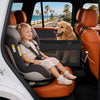 Dog Car Seat Backseat Extender Hard Bottom for Medium Large Dogs