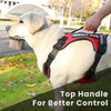 Pet Dog Leash Anti-Shock Harness Vest-Style Reflective Breathable Chest Strap