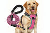 No Pull Dog Harness Adjustable Reflective Oxford Easy Control Medium Large Dog Harness with A Free Heavy Duty 5ft Dog Leash, Turquoise, L