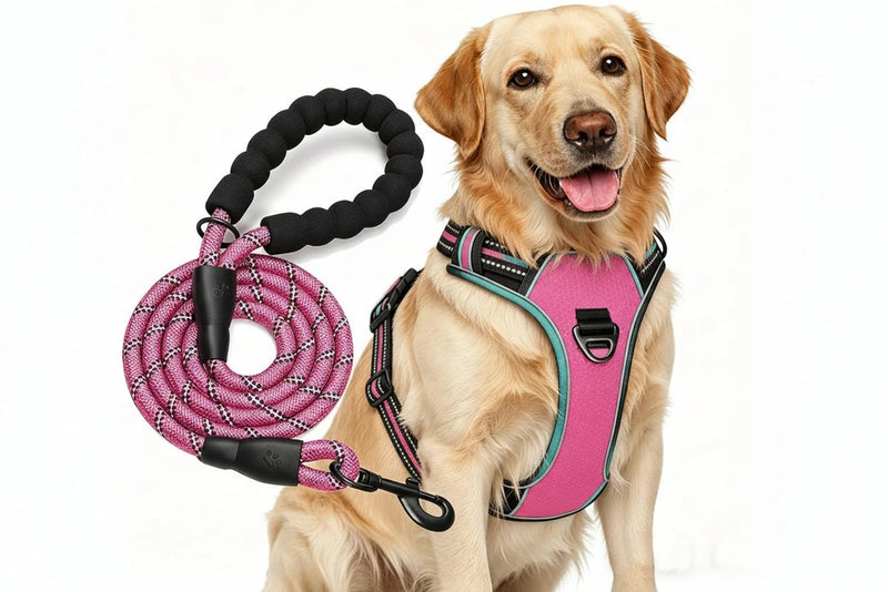 No Pull Dog Harness Adjustable Reflective Oxford Easy Control Medium Large Dog Harness with A Free Heavy Duty 5ft Dog Leash, Turquoise, L