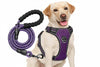 No Pull Dog Harness Adjustable Reflective Oxford Easy Control Medium Large Dog Harness with A Free Heavy Duty 5ft Dog Leash, Turquoise, L