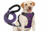 No Pull Dog Harness Adjustable Reflective Oxford Easy Control Medium Large Dog Harness with A Free Heavy Duty 5ft Dog Leash, Turquoise, L
