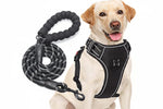 No Pull Dog Harness Adjustable Reflective Oxford Easy Control Medium Large Dog Harness with A Free Heavy Duty 5ft Dog Leash, Turquoise, L