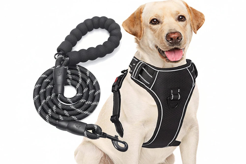 No Pull Dog Harness Adjustable Reflective Oxford Easy Control Medium Large Dog Harness with A Free Heavy Duty 5ft Dog Leash, Turquoise, L