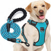No Pull Dog Harness Adjustable Reflective Oxford Easy Control Medium Large Dog Harness with A Free Heavy Duty 5ft Dog Leash, Turquoise, L