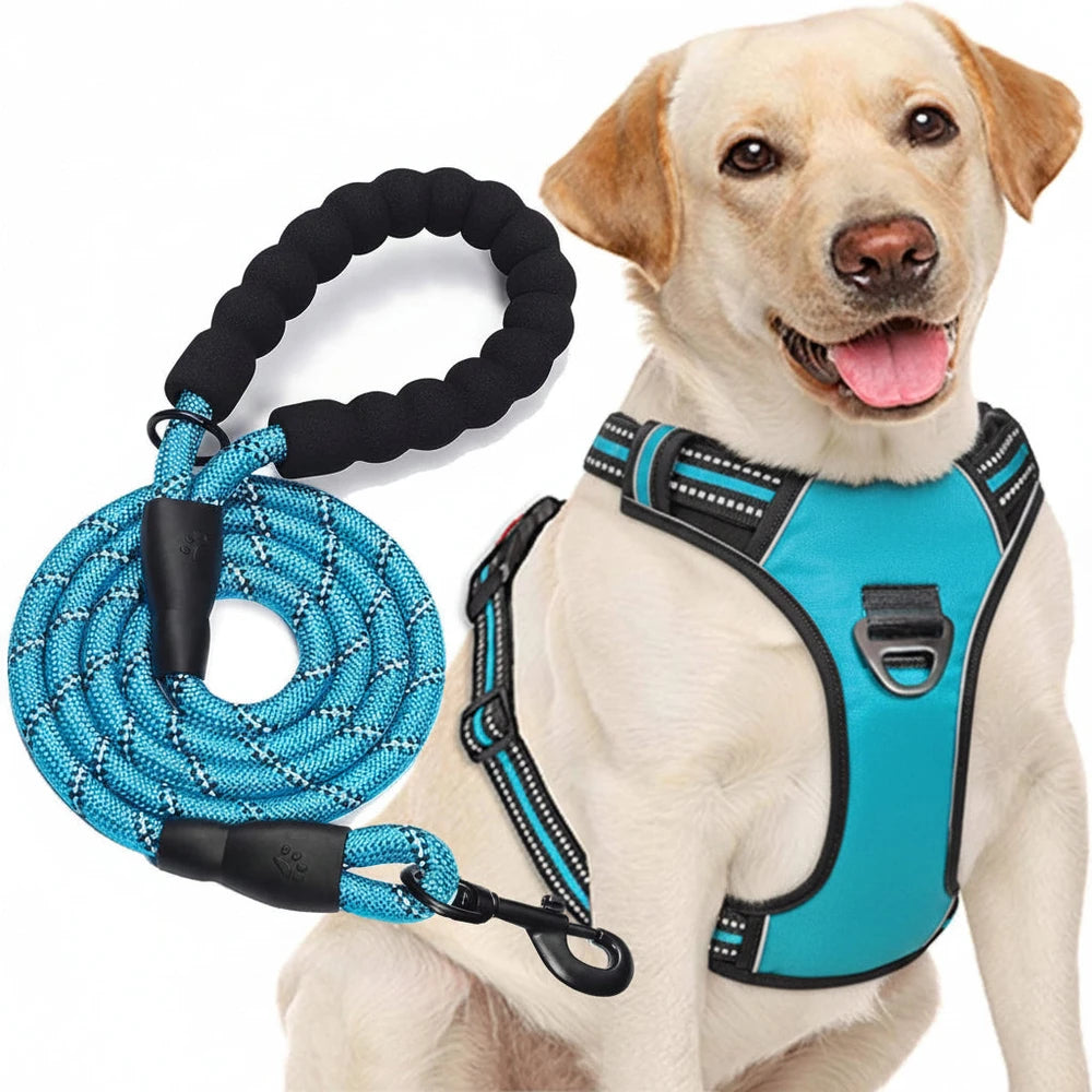No Pull Dog Harness Adjustable Reflective Oxford Easy Control Medium Large Dog Harness with A Free Heavy Duty 5ft Dog Leash, Turquoise, L