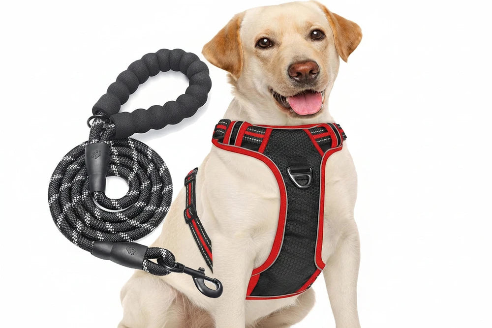 No Pull Dog Harness Adjustable Reflective Oxford Easy Control Medium Large Dog Harness with A Free Heavy Duty 5ft Dog Leash, Turquoise, L