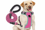 No Pull Dog Harness Adjustable Reflective Oxford Easy Control Medium Large Dog Harness with A Free Heavy Duty 5ft Dog Leash, Turquoise, L