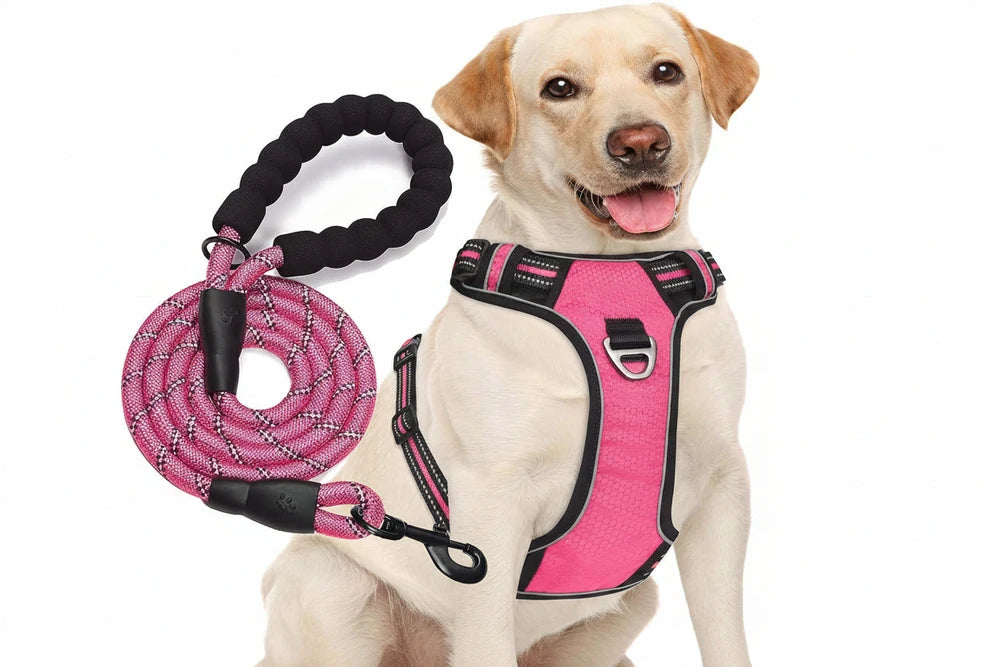 No Pull Dog Harness Adjustable Reflective Oxford Easy Control Medium Large Dog Harness with A Free Heavy Duty 5ft Dog Leash, Turquoise, L