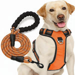 No Pull Dog Harness Adjustable Reflective Oxford Easy Control Medium Large Dog Harness with A Free Heavy Duty 5ft Dog Leash, Turquoise, L