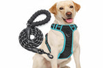 No Pull Dog Harness Adjustable Reflective Oxford Easy Control Medium Large Dog Harness with A Free Heavy Duty 5ft Dog Leash, Turquoise, L