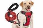 No Pull Dog Harness Adjustable Reflective Oxford Easy Control Medium Large Dog Harness with A Free Heavy Duty 5ft Dog Leash, Turquoise, L