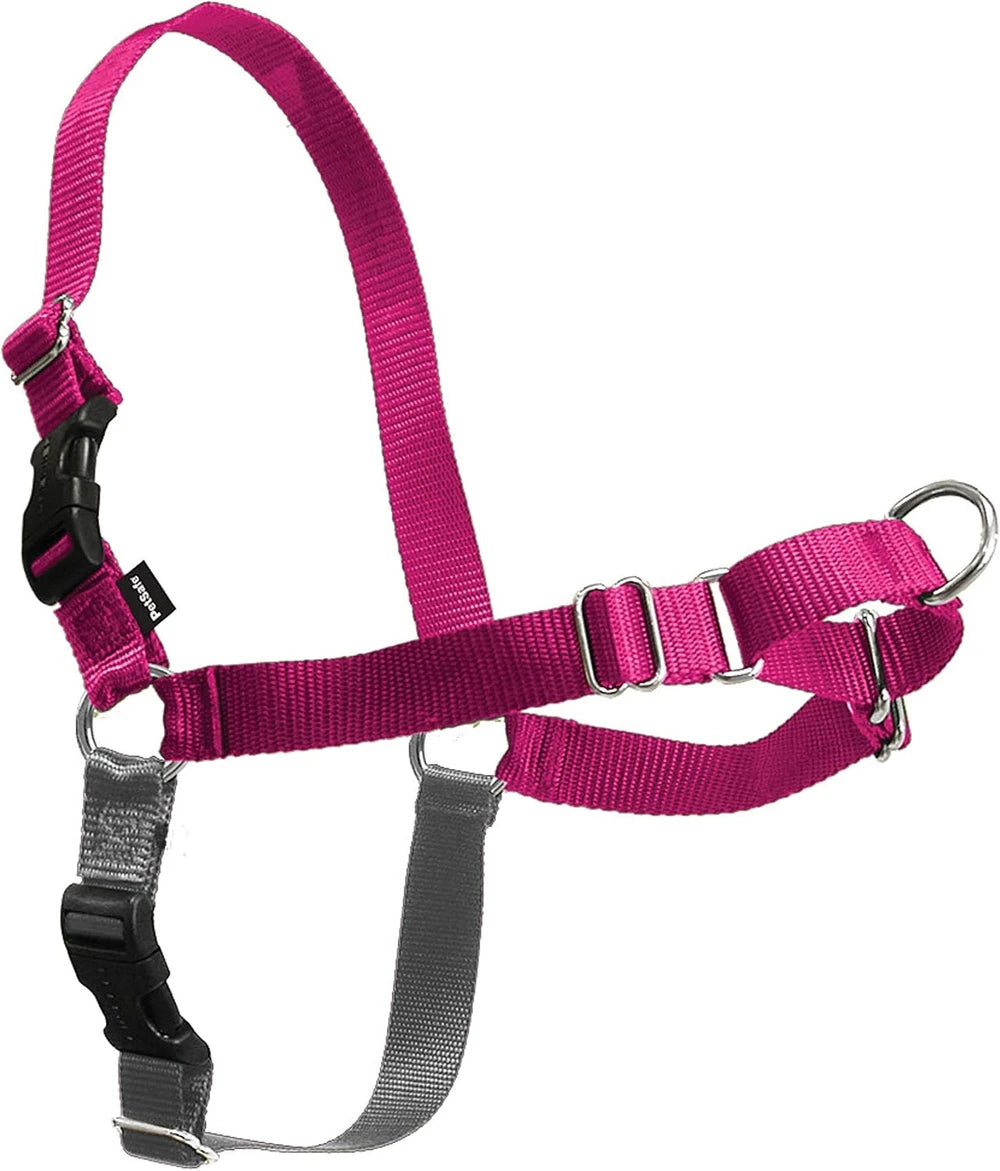 Easy Walk Harness, No Pull Dog Harness, Black, Medium