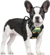 rabbitgoo Dog Harness, No Pull for Large Dogs with 2 Leash Clips, Pet Vest