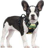 rabbitgoo Dog Harness, No Pull for Large Dogs with 2 Leash Clips, Pet Vest