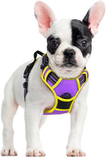 rabbitgoo Dog Harness, No Pull for Large Dogs with 2 Leash Clips, Pet Vest