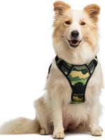 rabbitgoo Dog Harness, No Pull for Large Dogs with 2 Leash Clips, Pet Vest