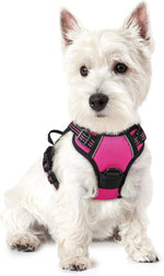 rabbitgoo Dog Harness, No Pull for Large Dogs with 2 Leash Clips, Pet Vest