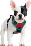 rabbitgoo Dog Harness, No Pull for Large Dogs with 2 Leash Clips, Pet Vest
