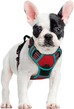 rabbitgoo Dog Harness, No Pull for Large Dogs with 2 Leash Clips, Pet Vest