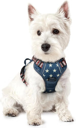 rabbitgoo Dog Harness, No Pull for Large Dogs with 2 Leash Clips, Pet Vest