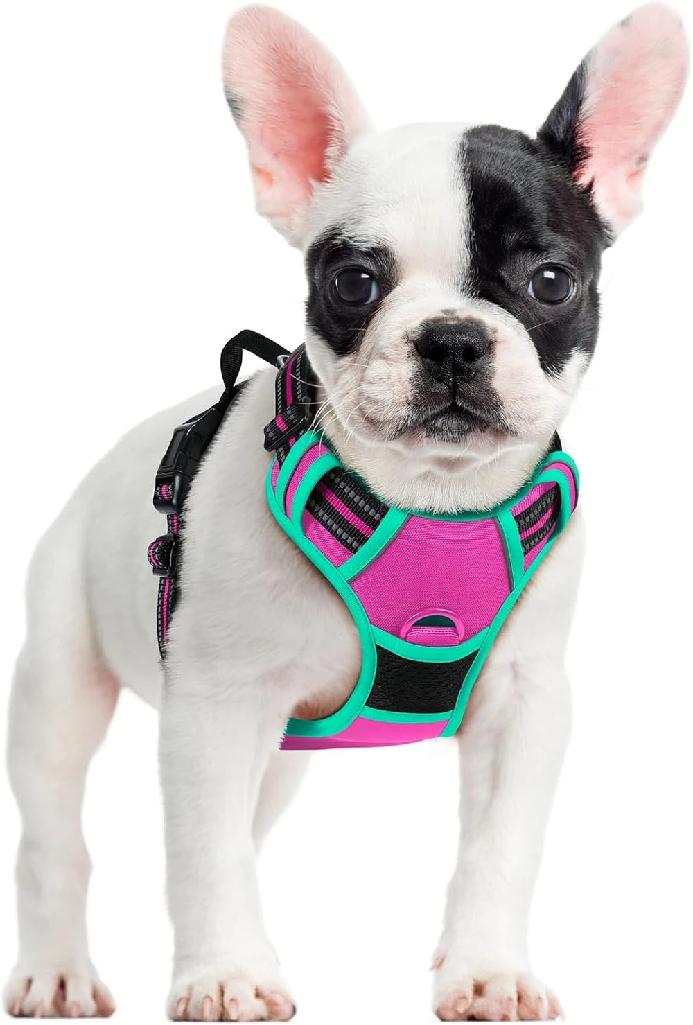 rabbitgoo Dog Harness, No Pull for Large Dogs with 2 Leash Clips, Pet Vest