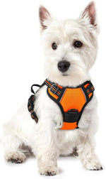 rabbitgoo Dog Harness, No Pull for Large Dogs with 2 Leash Clips, Pet Vest