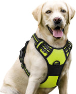 rabbitgoo Dog Harness, No Pull for Large Dogs with 2 Leash Clips, Pet Vest