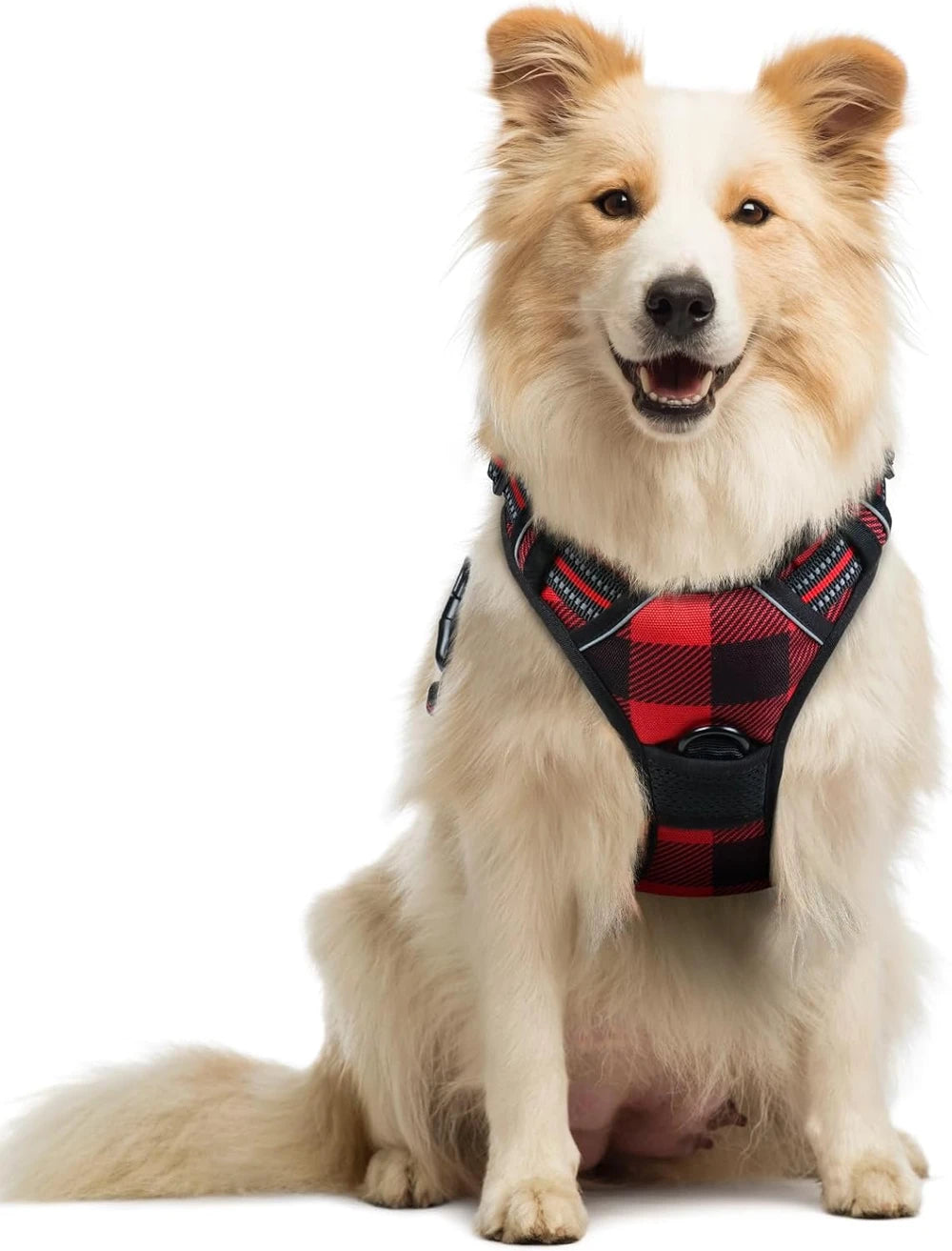 rabbitgoo Dog Harness, No Pull for Large Dogs with 2 Leash Clips, Pet Vest
