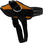 ShawnCo Essential Dog Harness, No-Pull Pet Vest (Sunset Orange,XS)