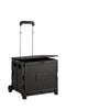 Double-layer cat carrier, portable pet trolley case, large-capacity airline crate, foldable cat carrier, can be taken on a plane
