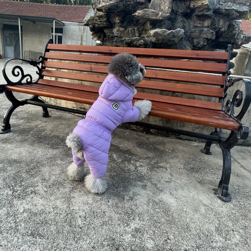 Dog clothes, warm cotton coat, suitable for Teddy and Pomeranian breeds, small dog four-legged waterproof coat, pet winter clothing, British style