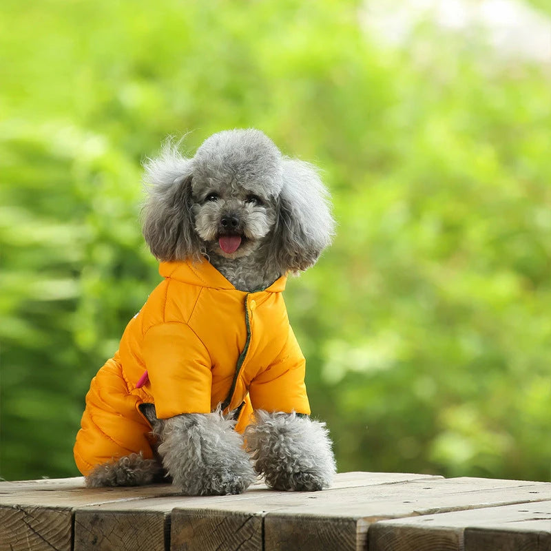Dog clothes, warm cotton coat, suitable for Teddy and Pomeranian breeds, small dog four-legged waterproof coat, pet winter clothing, British style