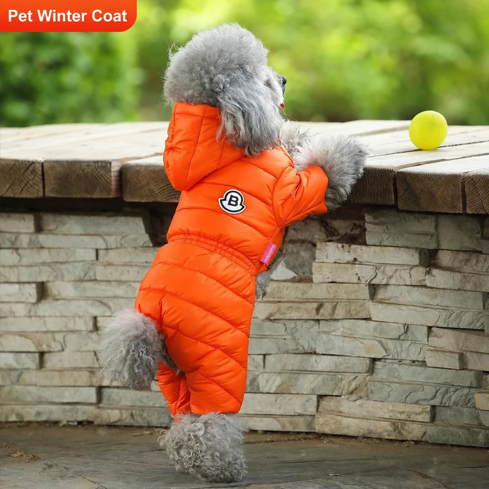 Dog clothes, warm cotton coat, suitable for Teddy and Pomeranian breeds, small dog four-legged waterproof coat, pet winter clothing, British style
