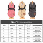 New cross-border pet dog clothing, autumn and winter collection, thickened cotton dog clothes, two-legged vest for small dogs, leash manufacturer