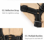 New cross-border pet dog clothing, autumn and winter collection, thickened cotton dog clothes, two-legged vest for small dogs, leash manufacturer