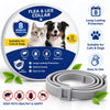 A Flea & Lice Collar for cats and dogs shown as a rolled gray collar in the foreground, with the product packaging behind it. The packaging is blue and white with photos of a cat and a dog, and text indicating 8-month protection and suitability for cats and dogs.