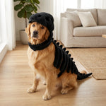 3D Dinosaur Dog Costume | Turn Your Pup Into a Walking T-Rex