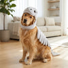 3D Dinosaur Dog Costume | Turn Your Pup Into a Walking T-Rex