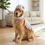 3D Dinosaur Dog Costume | Turn Your Pup Into a Walking T-Rex