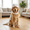 3D Dinosaur Dog Costume | Turn Your Pup Into a Walking T-Rex