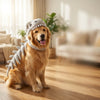 3D Dinosaur Dog Costume | Turn Your Pup Into a Walking T-Rex