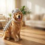 3D Dinosaur Dog Costume | Turn Your Pup Into a Walking T-Rex