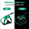 [All-in-One Harness] Dog Walking Vest-Style Anti-Pull Leash