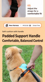 [All-in-One Harness] Dog Walking Vest-Style Anti-Pull Leash