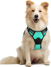 rabbitgoo Dog Harness, No Pull for Large Dogs with 2 Leash Clips, Pet Vest