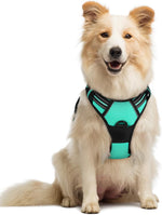rabbitgoo Dog Harness, No Pull for Large Dogs with 2 Leash Clips, Pet Vest