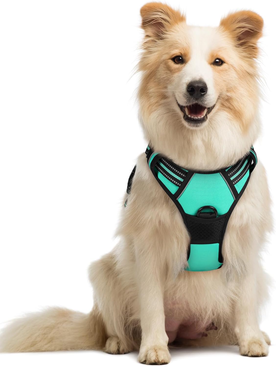 rabbitgoo Dog Harness, No Pull for Large Dogs with 2 Leash Clips, Pet Vest
