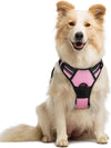 rabbitgoo Dog Harness, No Pull for Large Dogs with 2 Leash Clips, Pet Vest